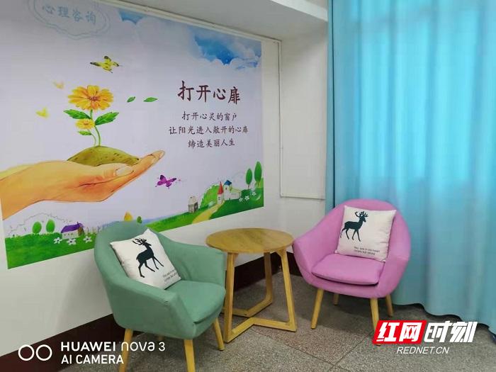 桑植县澧源镇第一小学开展学生心理健康辅导(图2)