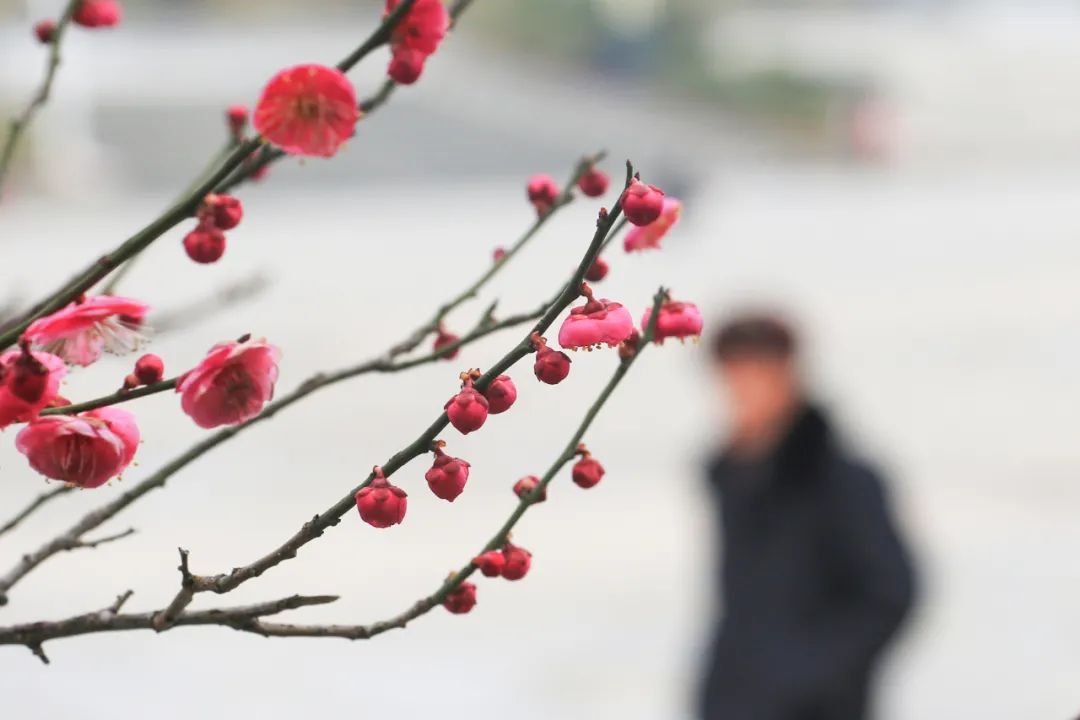 今日冬至，窗外隆冬飞雪，家中热气腾腾