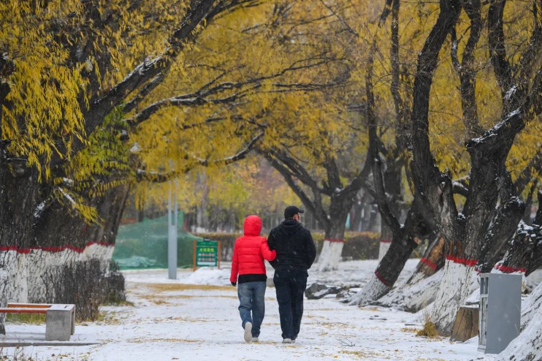 今日冬至，窗外隆冬飞雪，家中热气腾腾