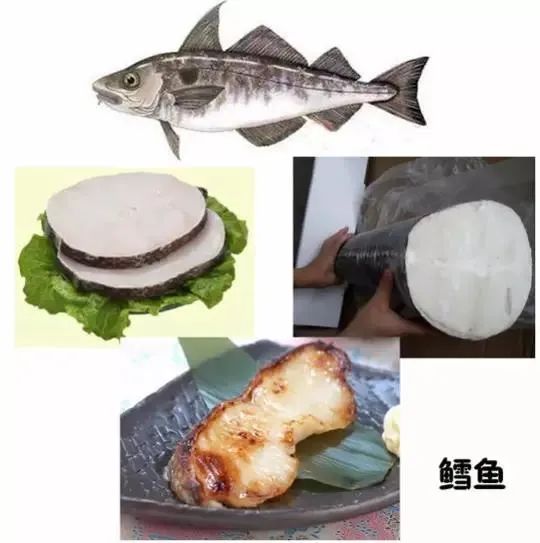 鳕鱼和油鱼的区别,鳕鱼和油鱼的区别图片