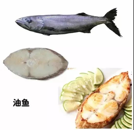 鱈魚和油魚的區別,鱈魚和油魚的區別圖片