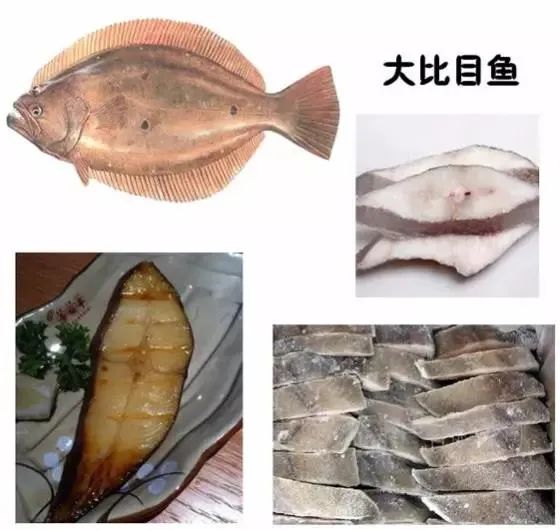 鱈魚和油魚的區別,鱈魚和油魚的區別圖片