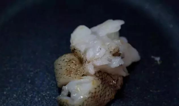 鱈魚和油魚的區別,鱈魚和油魚的區別圖片