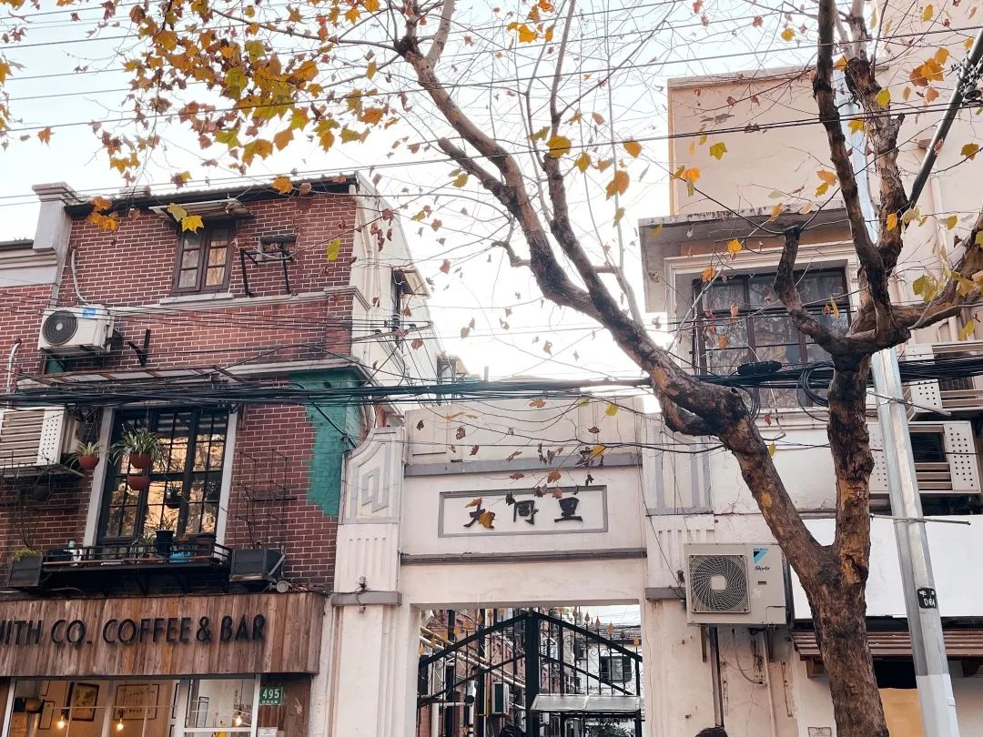 短短一千米，“藏”着21处历史文物建筑、16家上海老字号！周末了，去逛马路吧