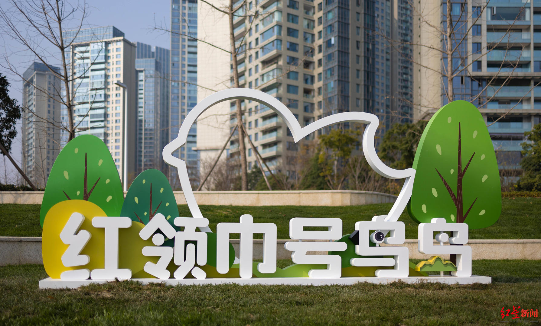 小学生的一份暑假作业,为成都闹市区带来一座“鸟岛”
