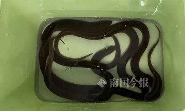 考生注意！今日12时，广西2021年成人高校招生将开始第一次征集志愿