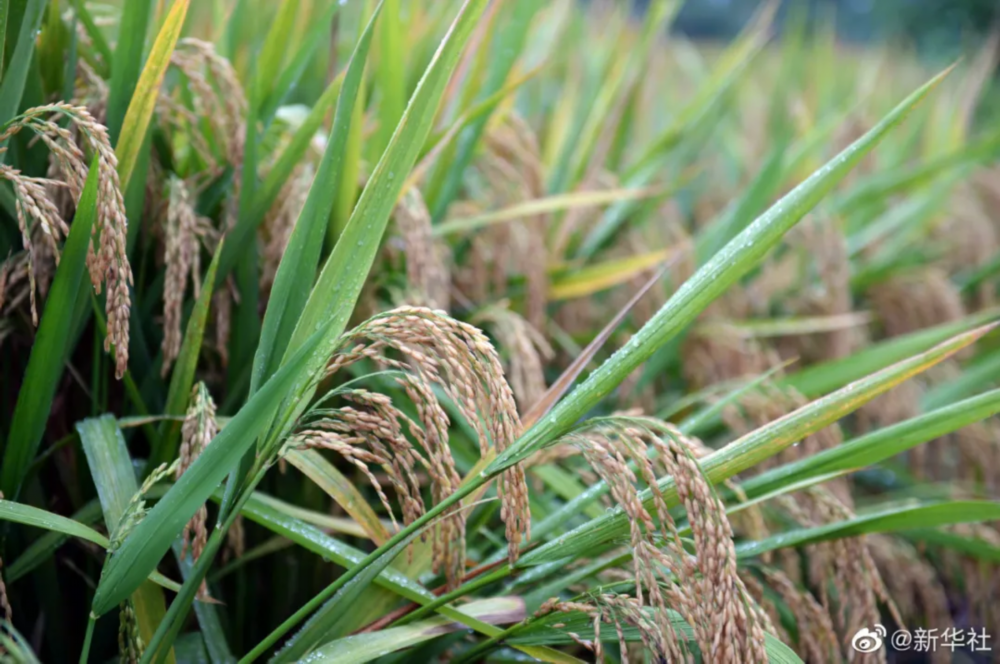 2021年的这些照片，我们不会忘记