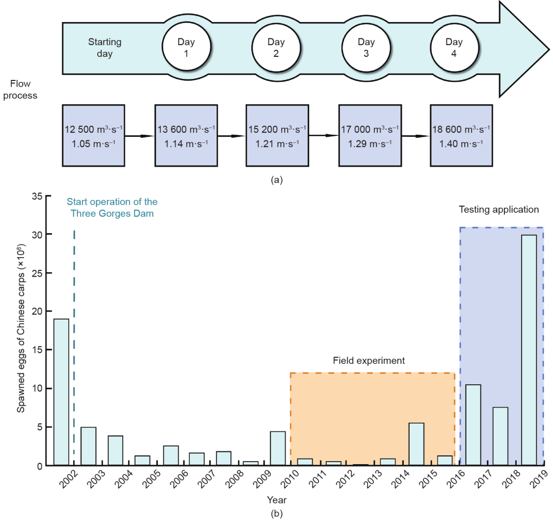 建坝河流鱼类繁殖的流速调控丨Engineering