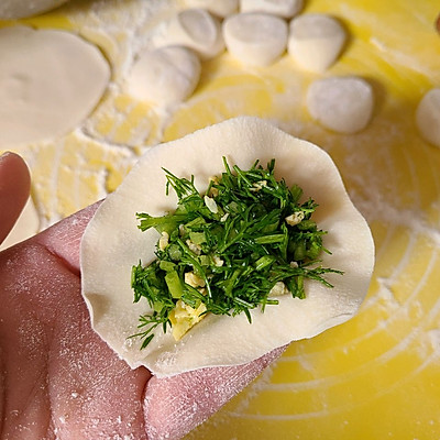 茴香苗饺子馅的做法(七步教会你做出美味的茴香苗饺子馅)