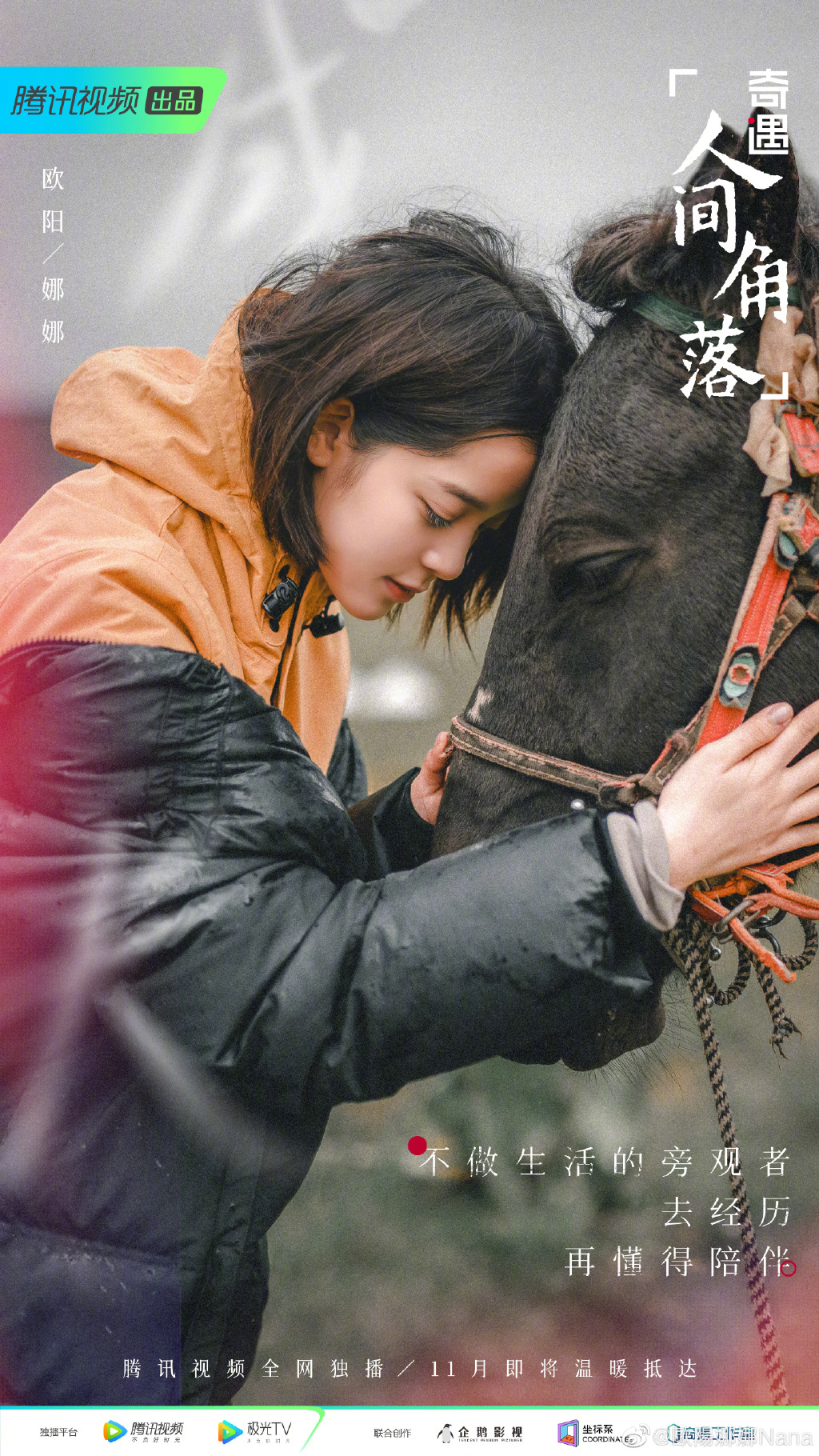 今年哪些综艺节目值得“浪费时间”