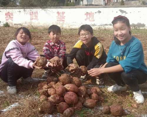 济源市王屋镇韩旺小学耕读教育纪实(图2)