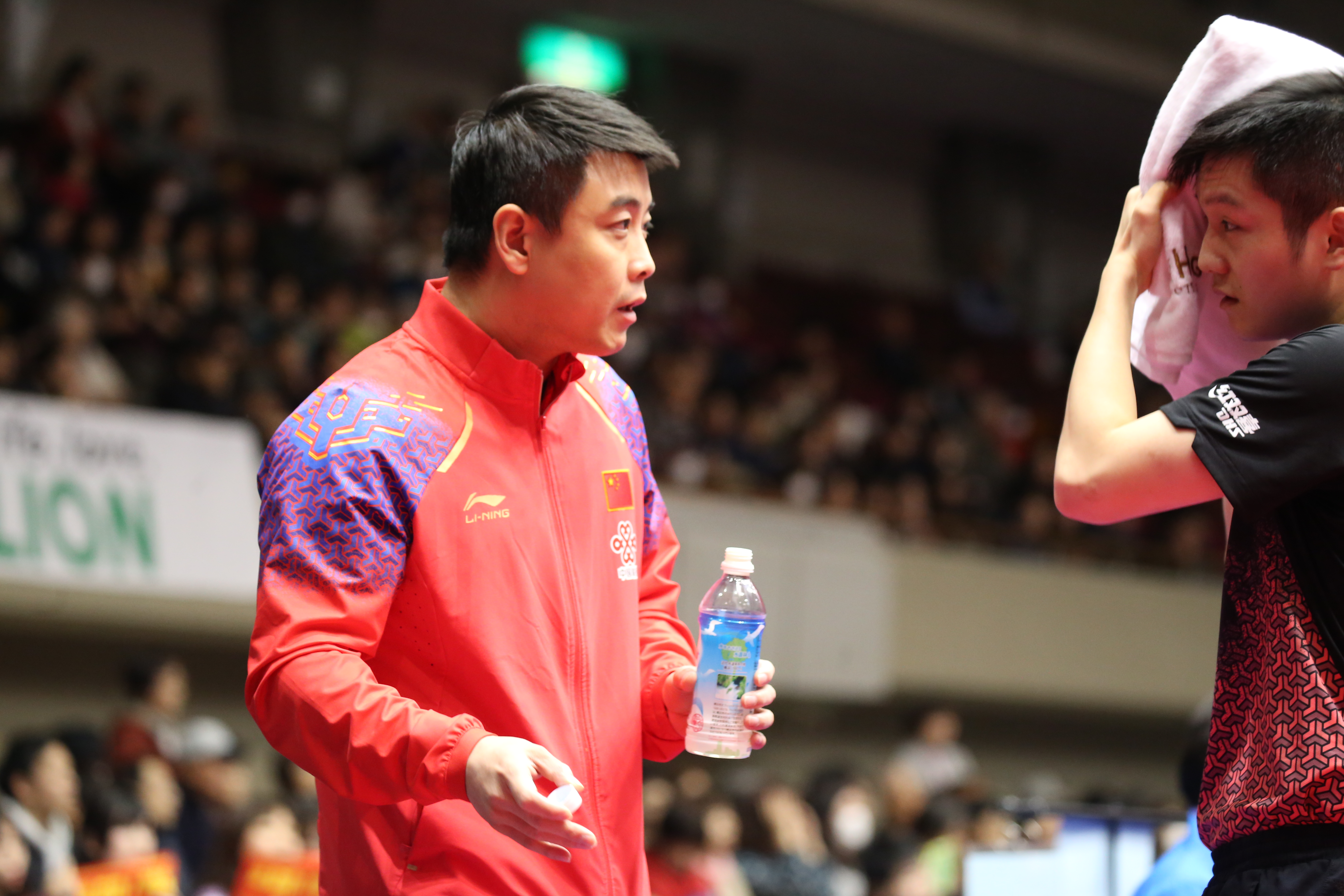 樊振东以前是谁的陪练(独家专访|王皓,在国乒当教练的日与夜)