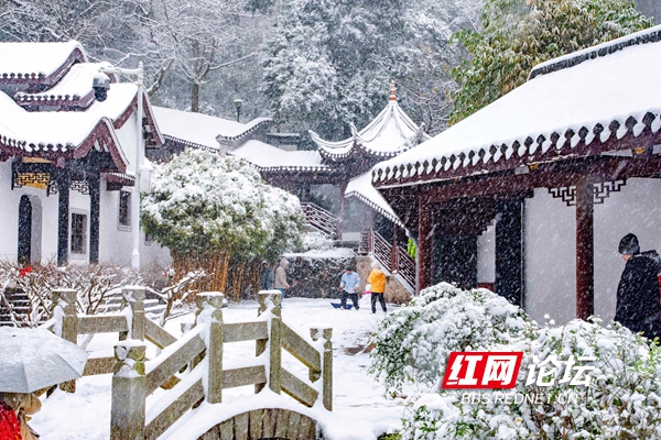 雪已融尽，余味悠长！雪中的岳麓书院美得古朴而典雅