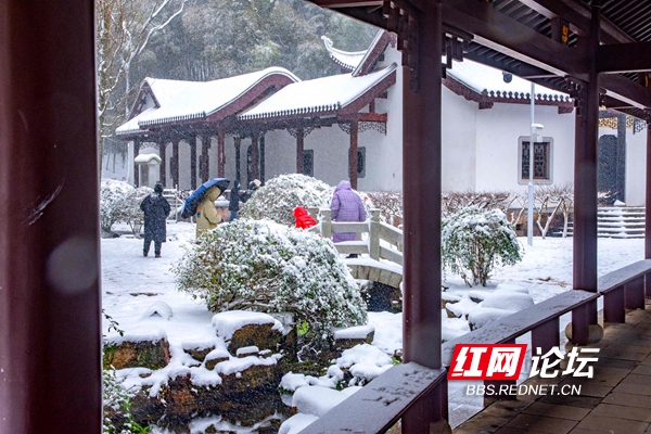 雪已融尽，余味悠长！雪中的岳麓书院美得古朴而典雅