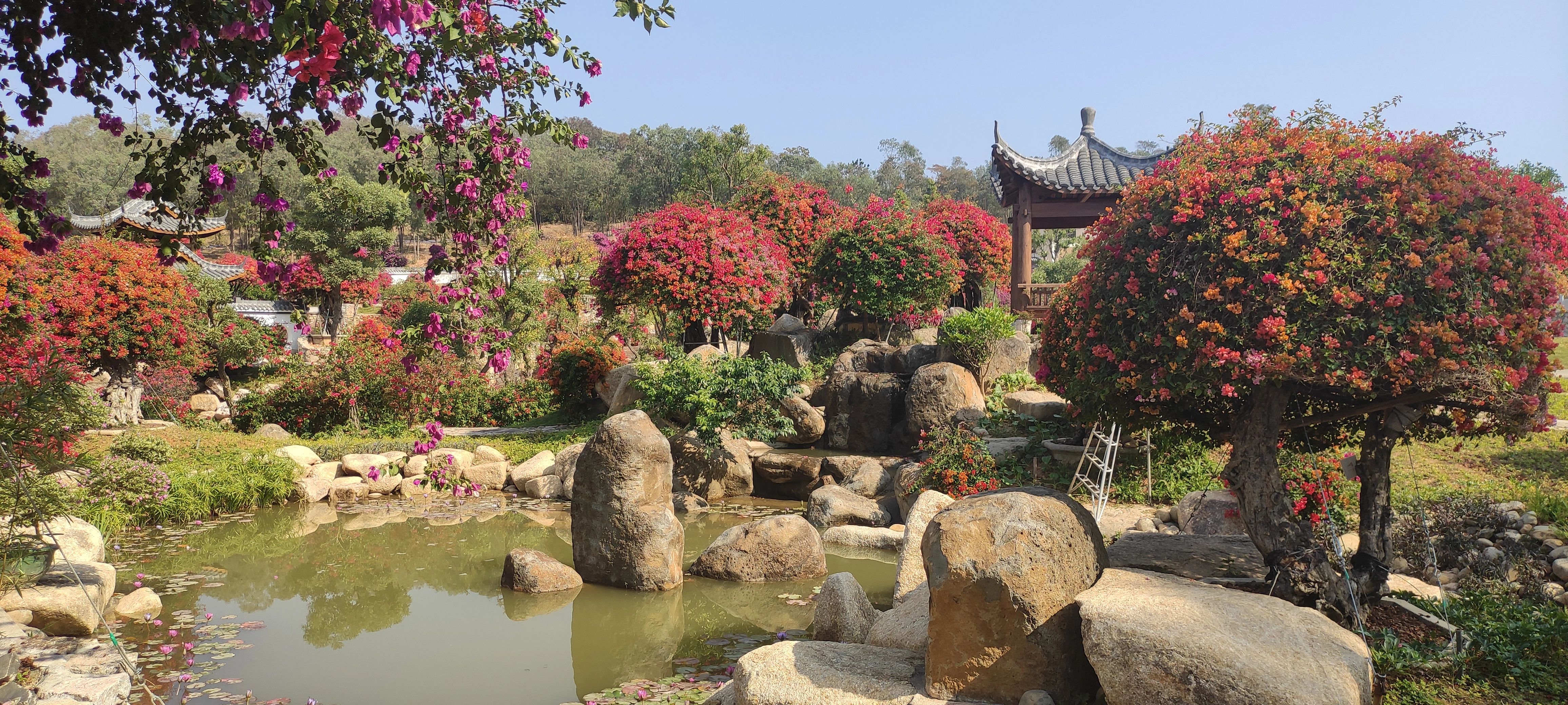 广州花都景点图片