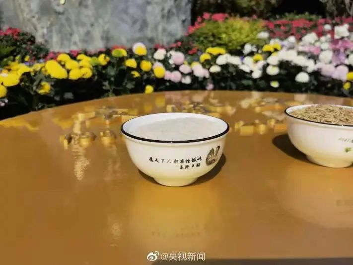 2012歐洲杯冠軍球隊（嚇到了！這些“2012”已經10年了）