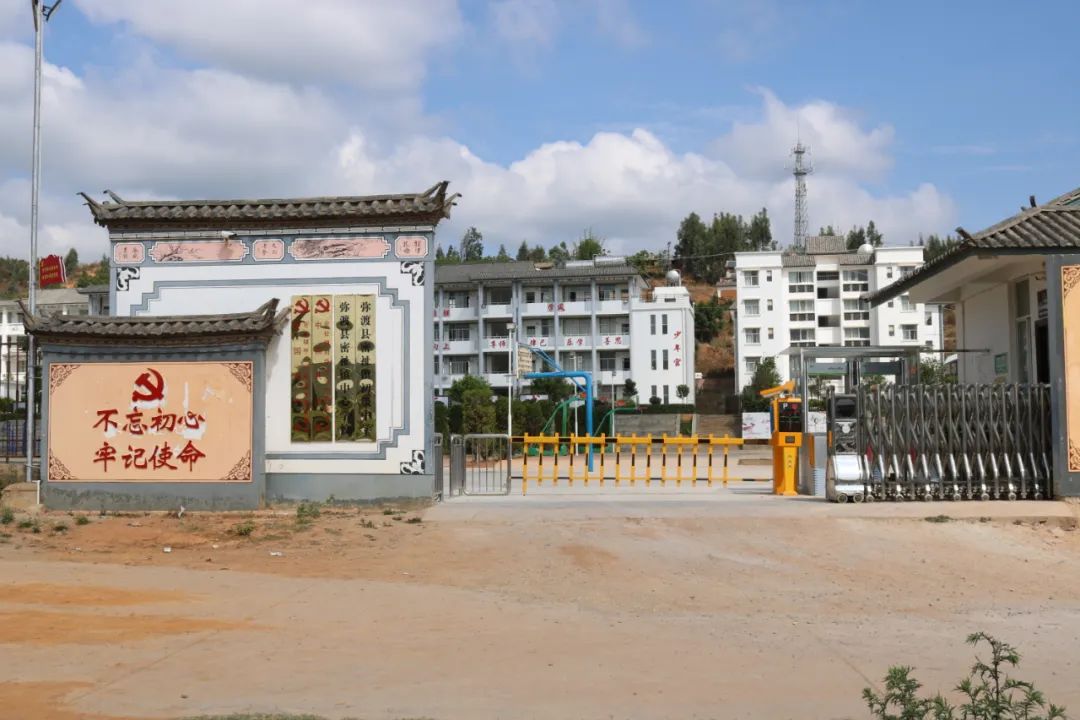 祝贺！咱弥渡4所学校上榜