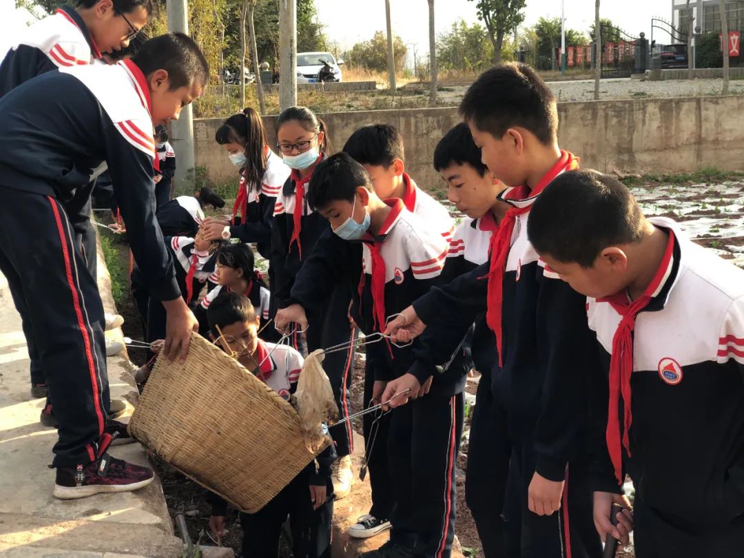 祝贺！咱弥渡4所学校上榜