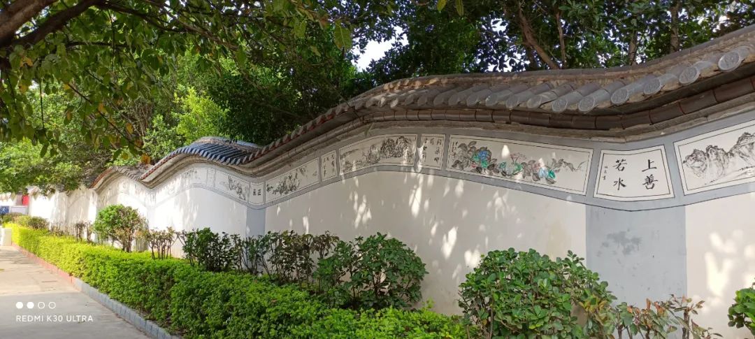 祝贺！咱弥渡4所学校上榜