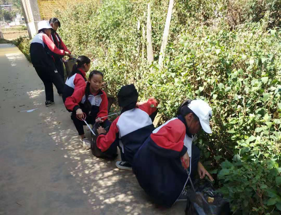 祝贺！咱弥渡4所学校上榜