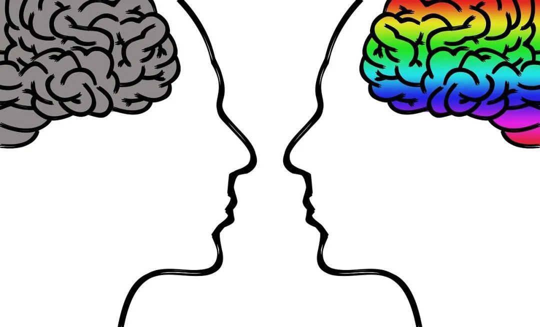 掌控情绪的艺术：学会在压力下保持冷静与理智