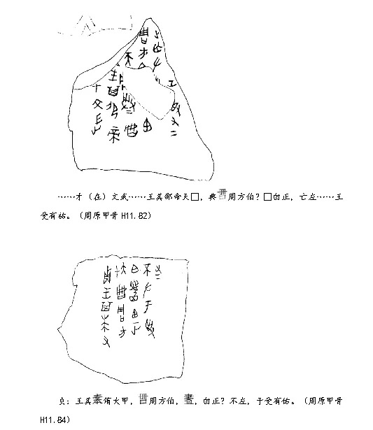 3000年前的“国王排名”：甲骨文中周文王的逆袭进击