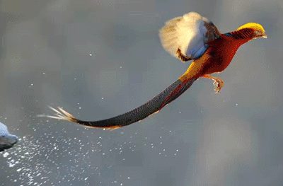 通知！上班时间有变