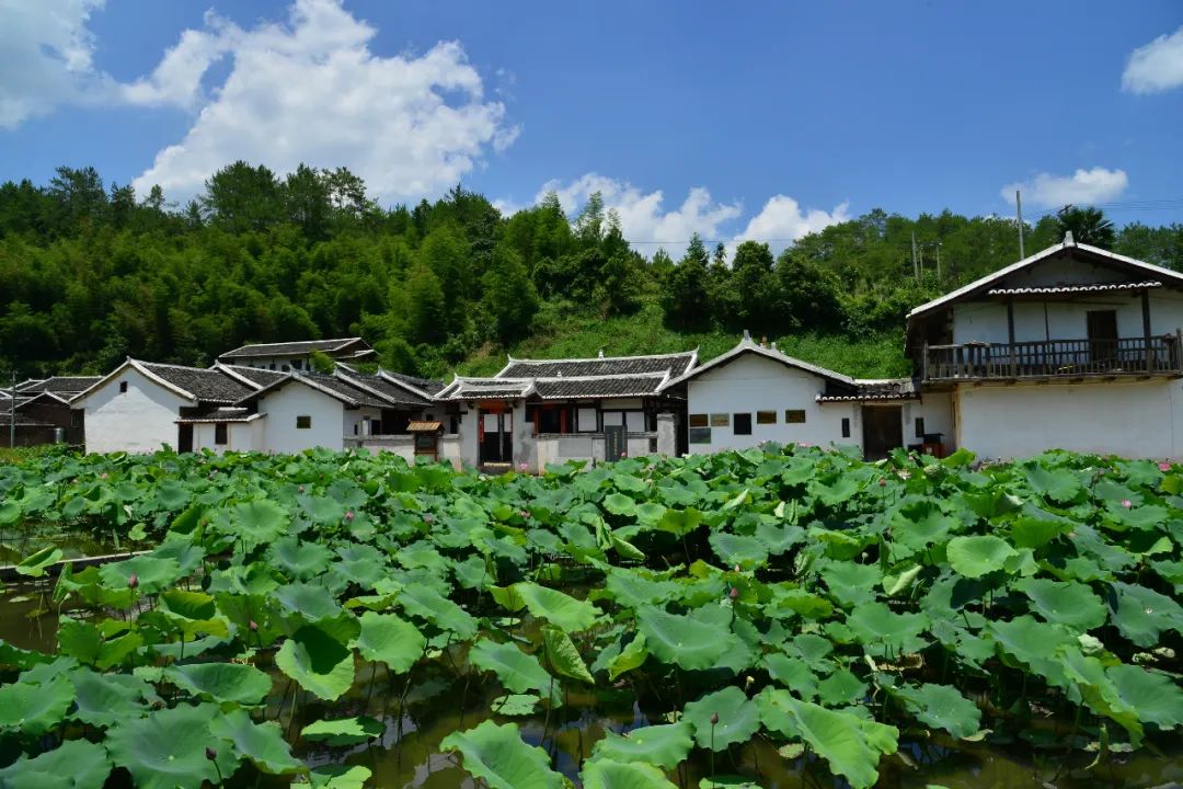 美丽乡村大不“乡”同，把你“氧”的多姿多彩