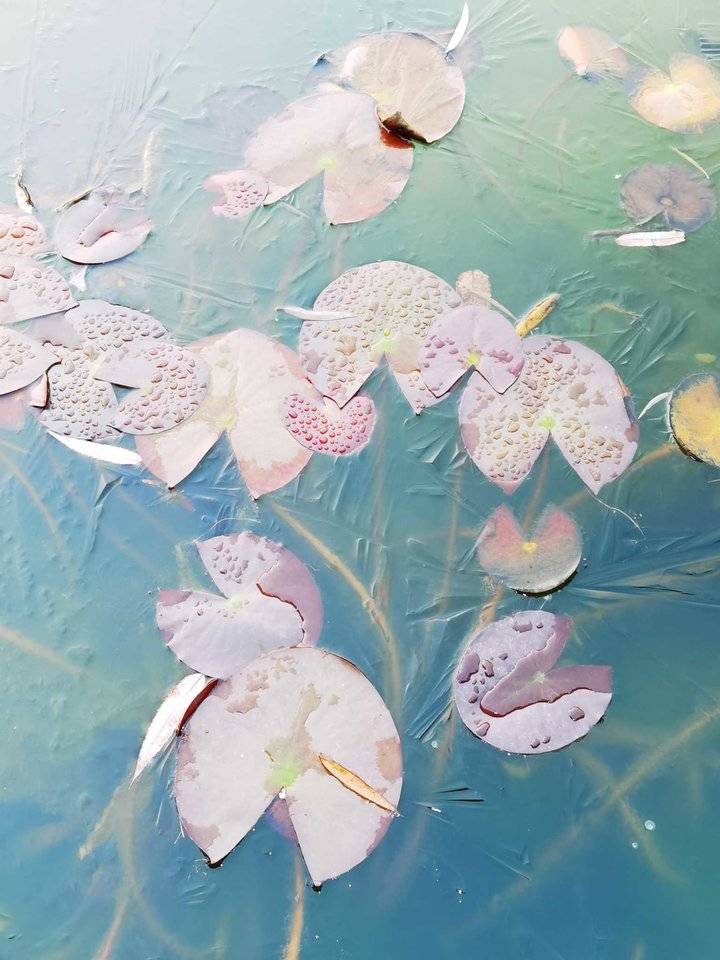 散文：残荷听雨