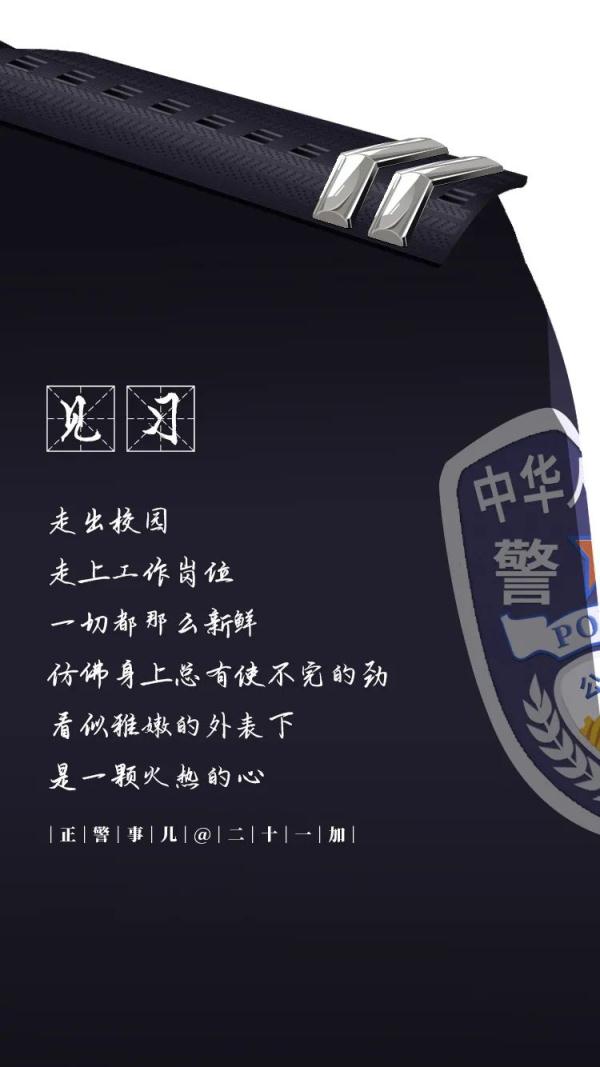 三级警司相当于什么官（三级警司相当于什么职务）-第3张图片-科灵网