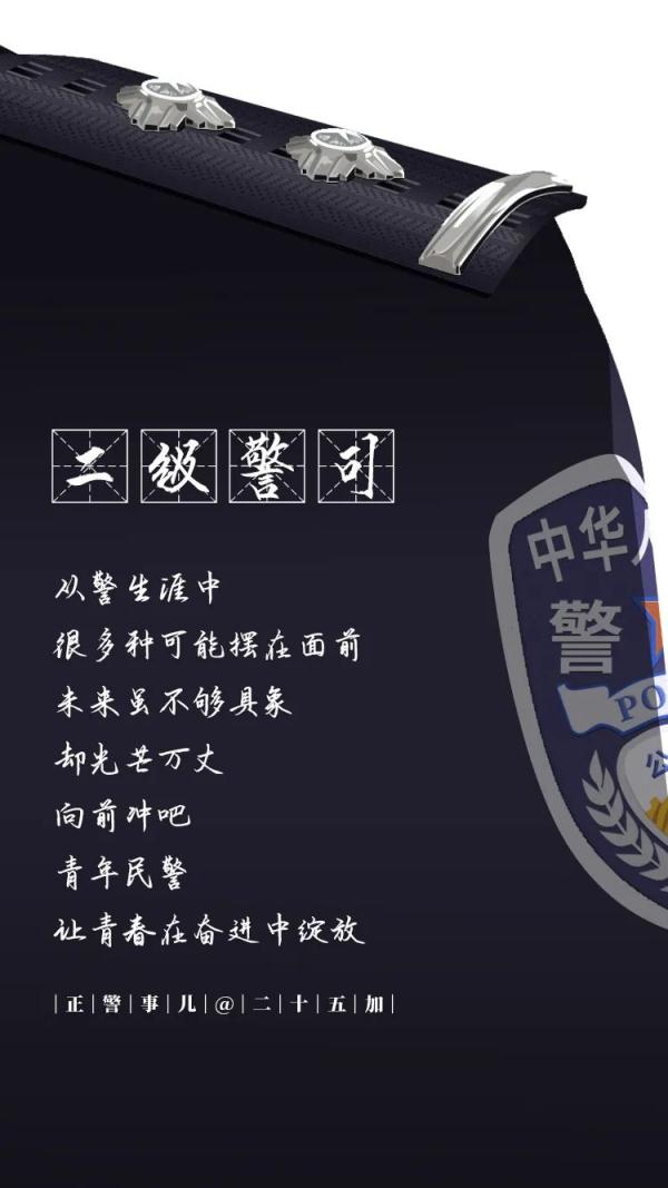 三级警司相当于什么官（三级警司相当于什么职务）-第5张图片-科灵网