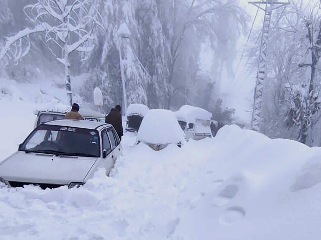 对悲剧感到震惊(巴基斯坦景区遭暴雪袭击，千车被困至少22人死亡)