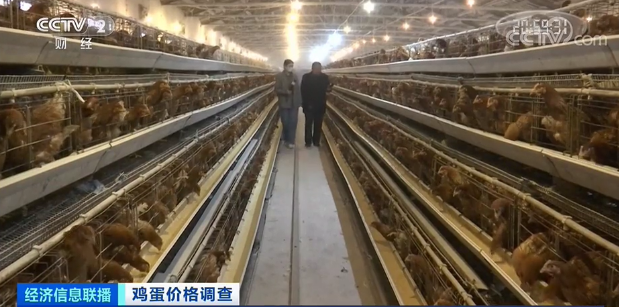 一颗不到1元！北京鸡蛋价格小幅下调 批发价每斤降0.6元