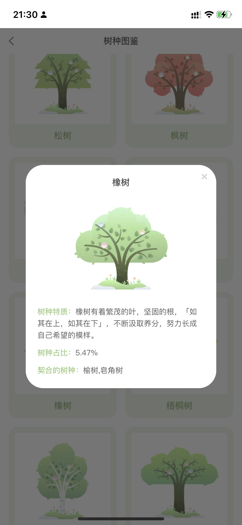 TreeTalk 产品分析报告：看见彼此，看见女性叙事力量