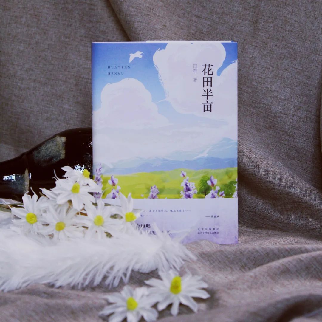 《花田半亩》:来去皆是匆忙.我在病里沉沦成长