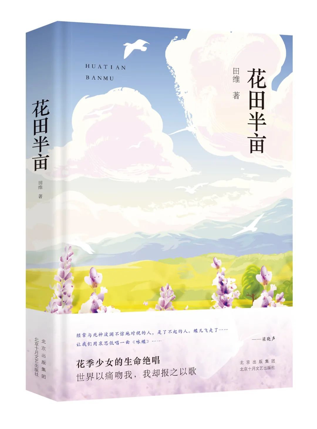 《花田半亩》:来去皆是匆忙.我在病里沉沦成长