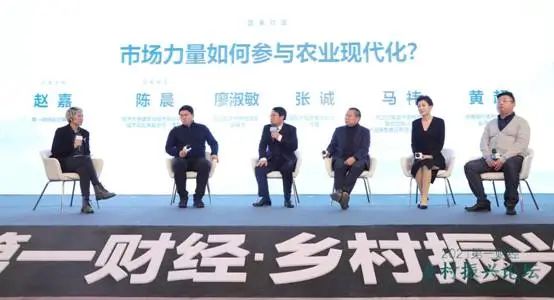 2025农业农村现代化取得重要进展，多方市场力量如何参与？