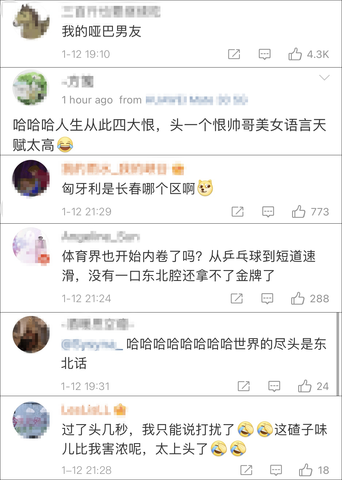 短道速滑世界杯匈牙利站（匈牙利短道速滑兄弟一开口，网友：东北话是体育圈通用语言吧）