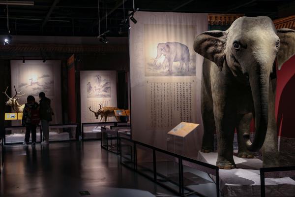 当“兽谱”遇上动物标本，“清宫兽谱”展亮相自博馆