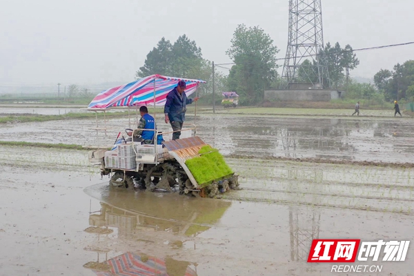 农民专业合作社,