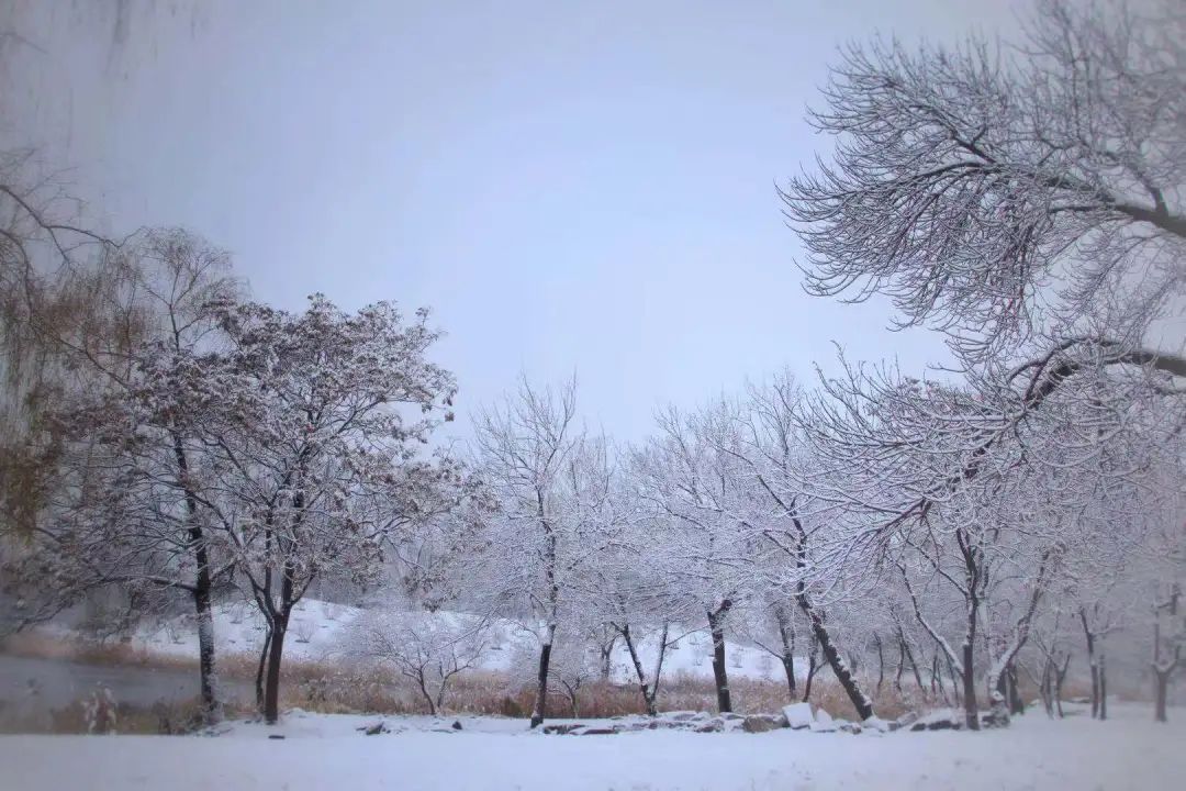 冬天来圆明园你可以这么发朋友圈！