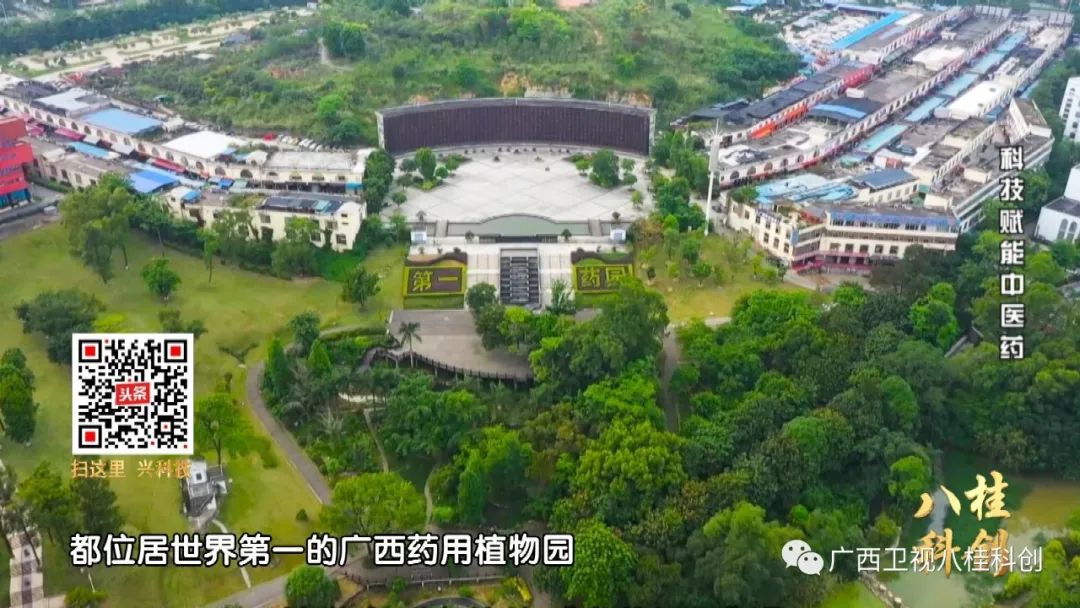 以科技赋能中医药，广西在这方面有多牛？