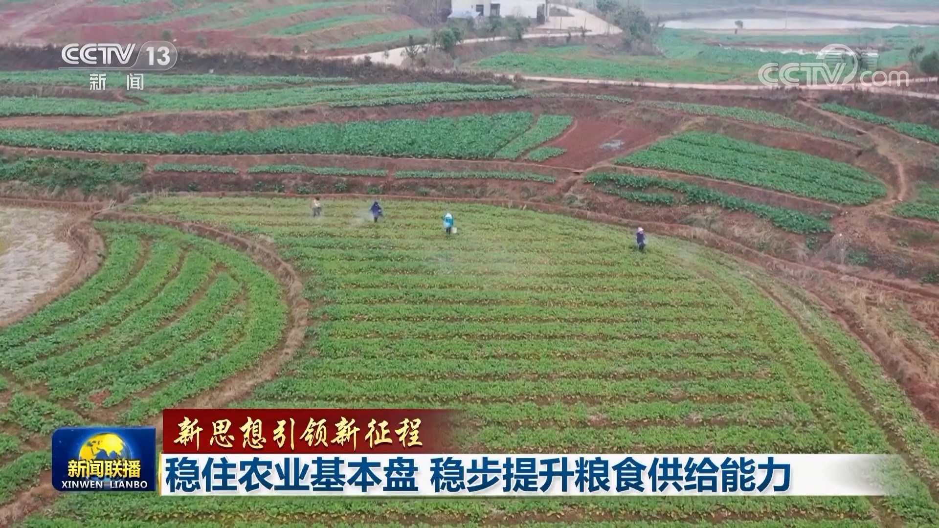 稳住农业基本盘 稳步提升粮食供给能力