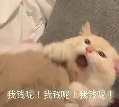 要照顾8个孩子和婆婆！厦门“全职太太”离婚提出家务劳动补偿……插图5