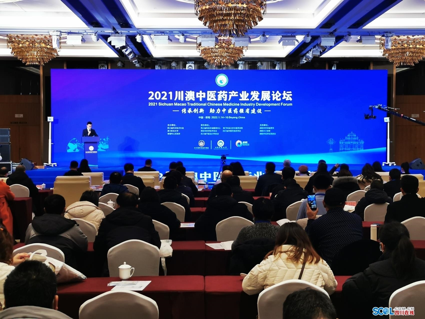 专家学者齐聚德阳 为川澳中医药产业高质量发展建言献策