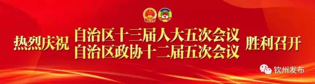 住钦自治区政协委员热议政府工作报告