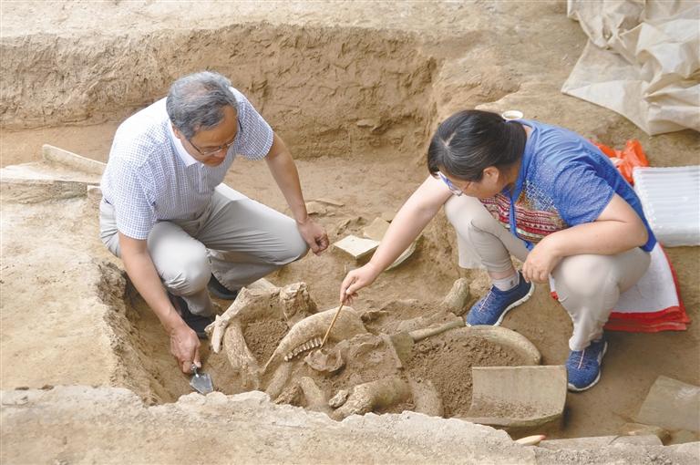 “地图”在缓缓铺开——镐京遗址近40年考古发现荟萃