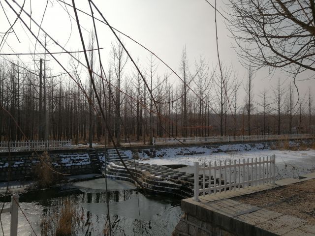 從“十種九不收“到年村集體收入超過80萬元，這座小山村的致富密碼是什么？