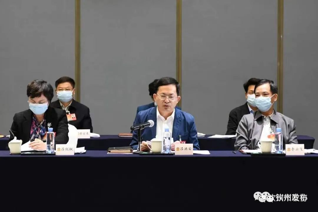 住钦自治区政协委员热议政府工作报告