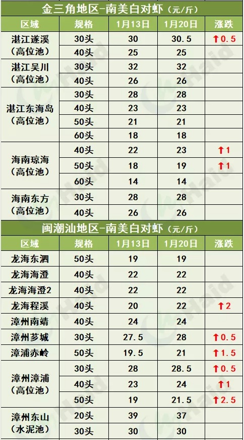 虾价行情｜最高跌4元/斤，疫情地区的白虾价格春节前会反弹吗？